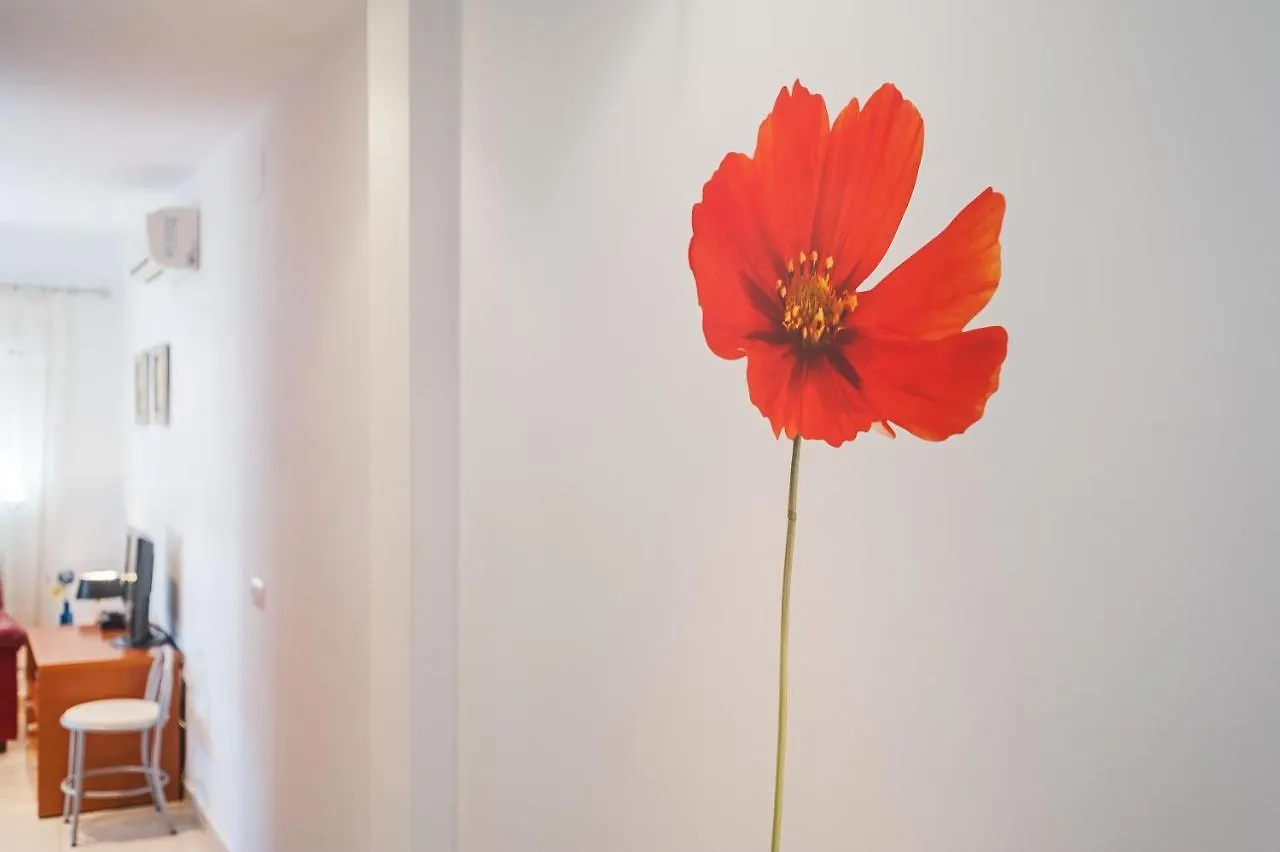 Piso Sebastian 2 Alto Solo Familias Apartment Conil De La Frontera Spain